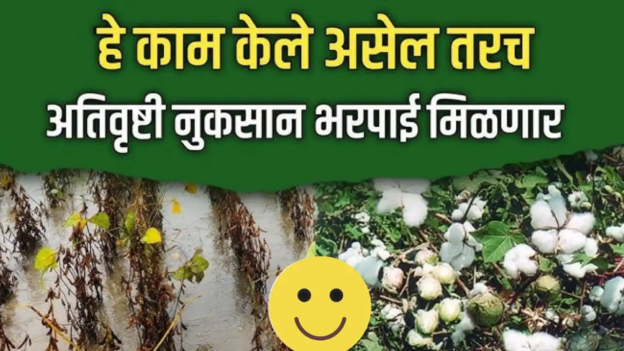 Nuksan bharpai Anudan