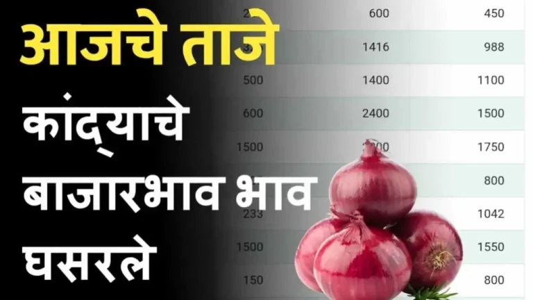Onion price