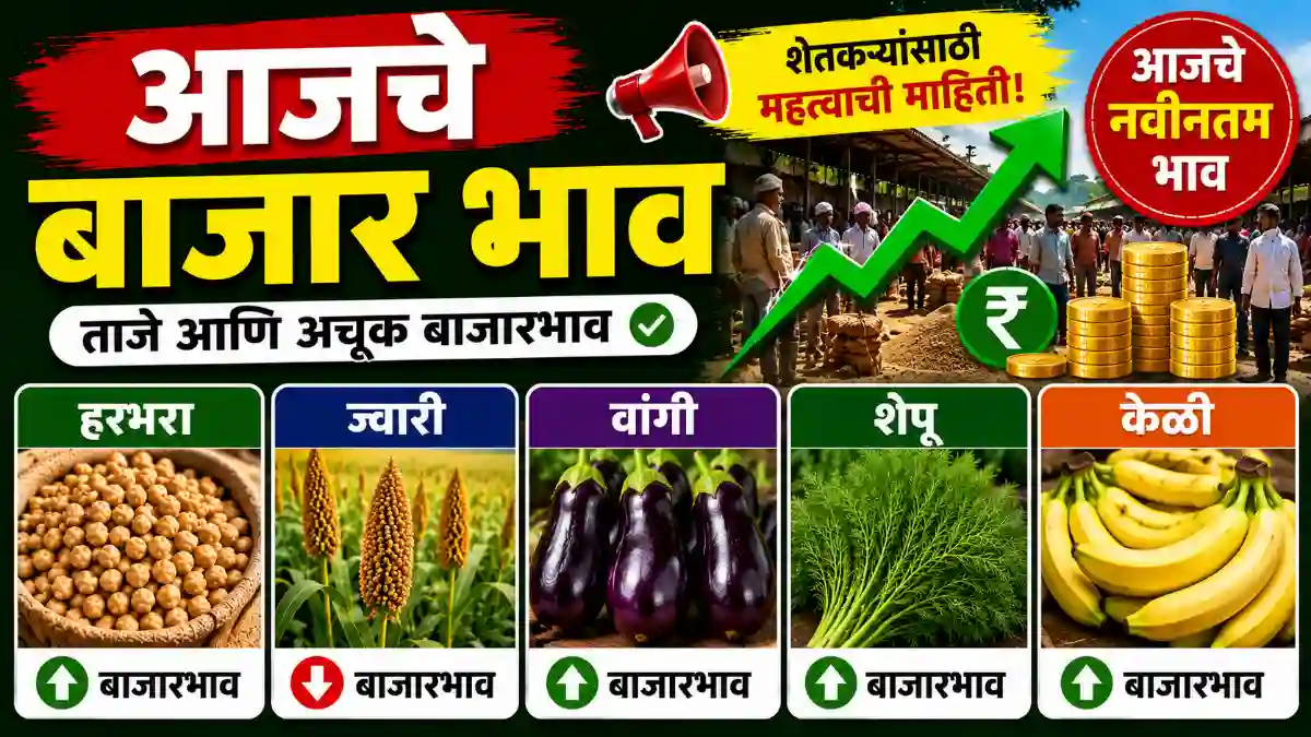 bajar bhav