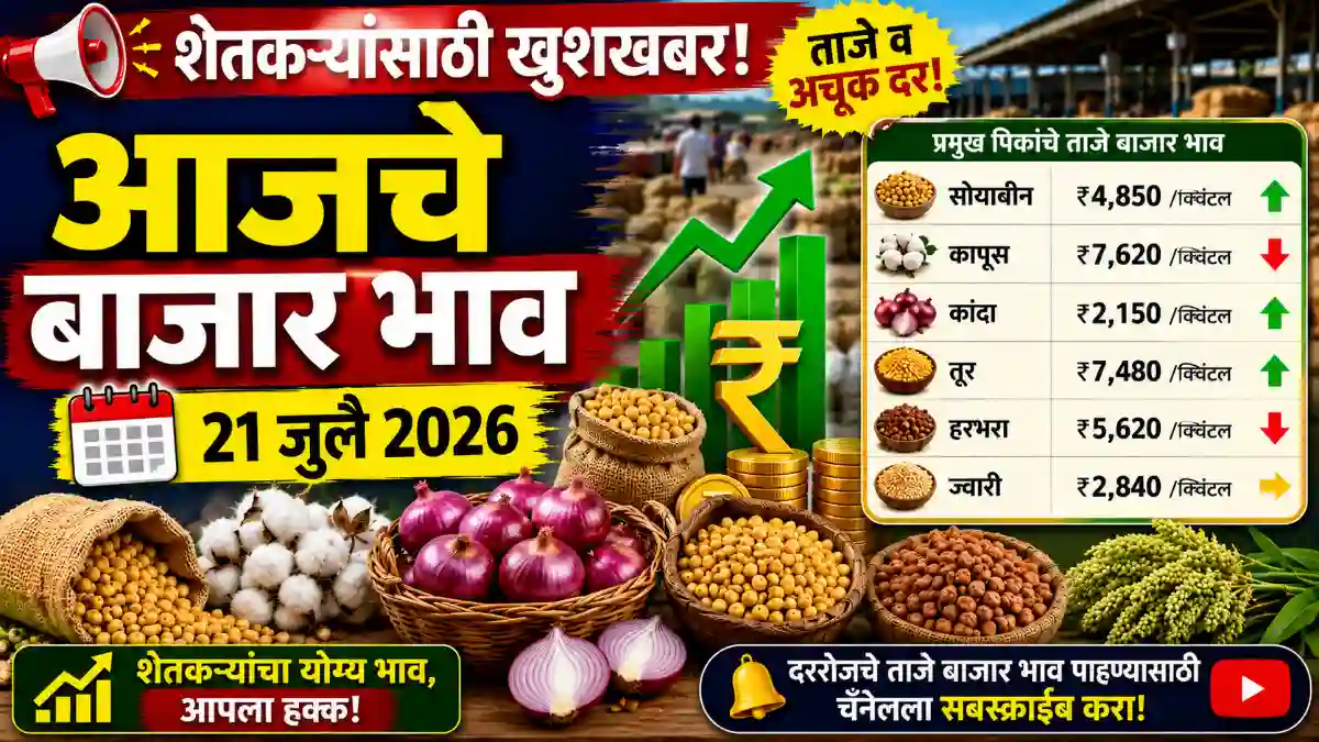 bajarbhav today